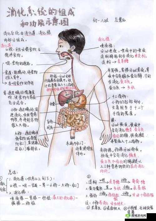 2 对 1 初次体检:探索未知的身体奥秘
