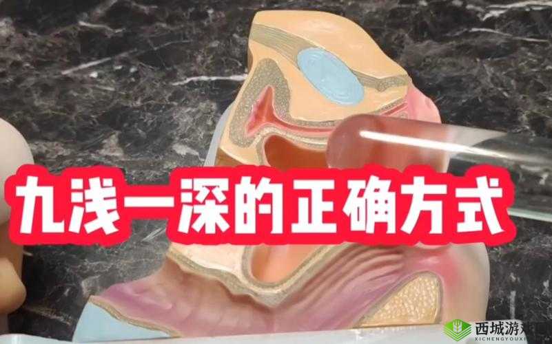 九浅一深左右研磨怎么调:技巧与方法探讨
