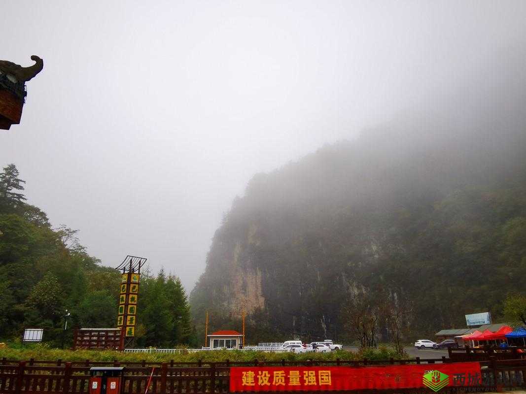 AAAA 级毛皮最火的一句透露了中文社区开放信息:引发关注