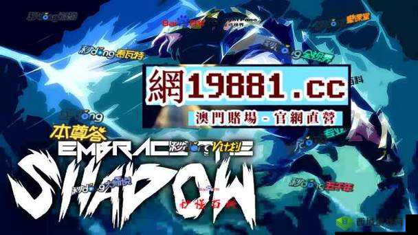 精品产区 WNW2544：独特魅力的所在