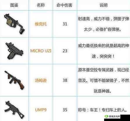 绝地求生全军出击：最佳枪支与装备搭配推荐，成就战场生存大师