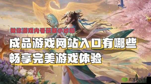 成品游戏网站入口:畅享精彩游戏世界