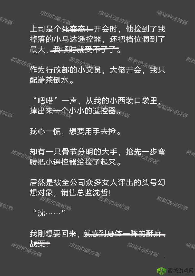 老板捡到小马达遥控器免费:这是怎样的缘分