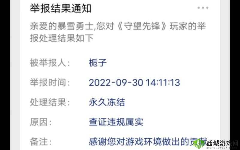 守望先锋作弊者遭永久封禁,解封无望之路的反思与警示