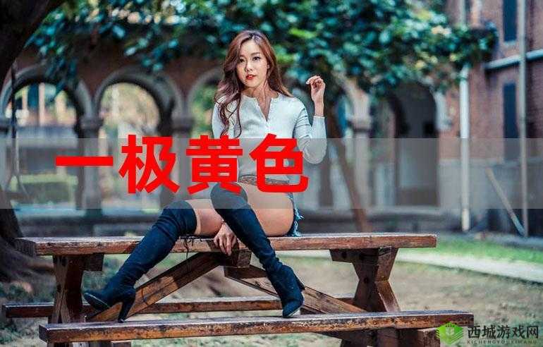 黄色免费下载资源尽情获取