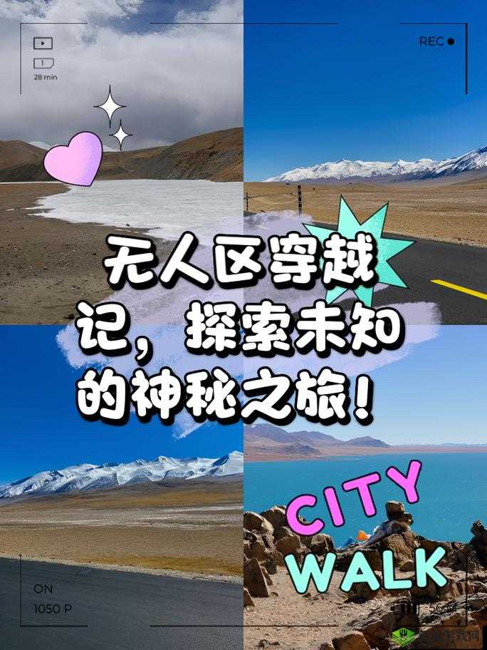 无人区编码 6229JM 探秘:未知世界的神秘之旅