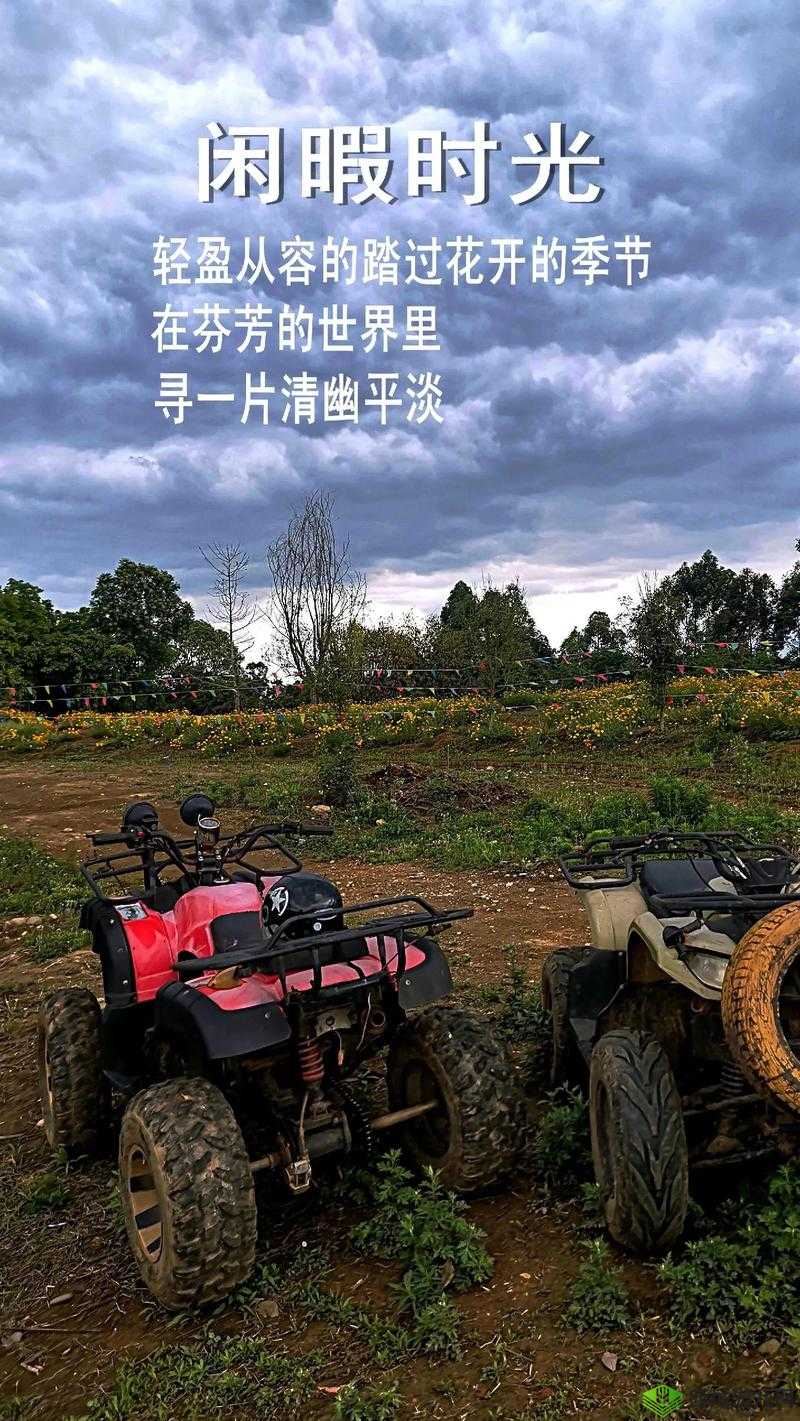 舌头一路向下游走:探索未知的秘密