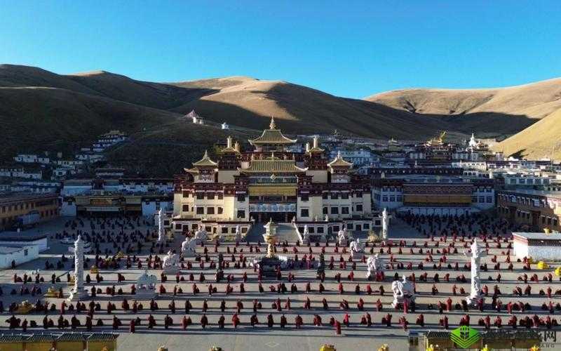www.色院秘：探索神秘之色院世界