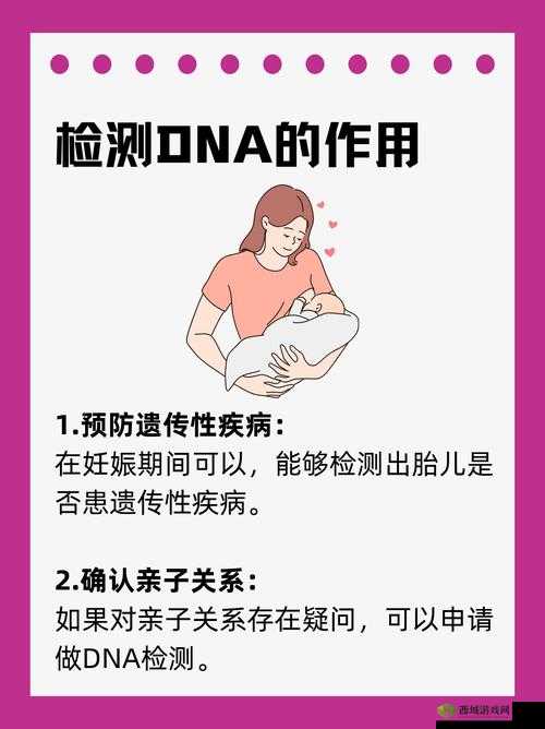 母亲的 DNA 和儿子的 DNA 是一样的吗:深入探究亲子遗传的奥秘