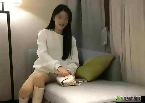 :李丽莎:从模特到涉嫌淫秽视频的争议人物