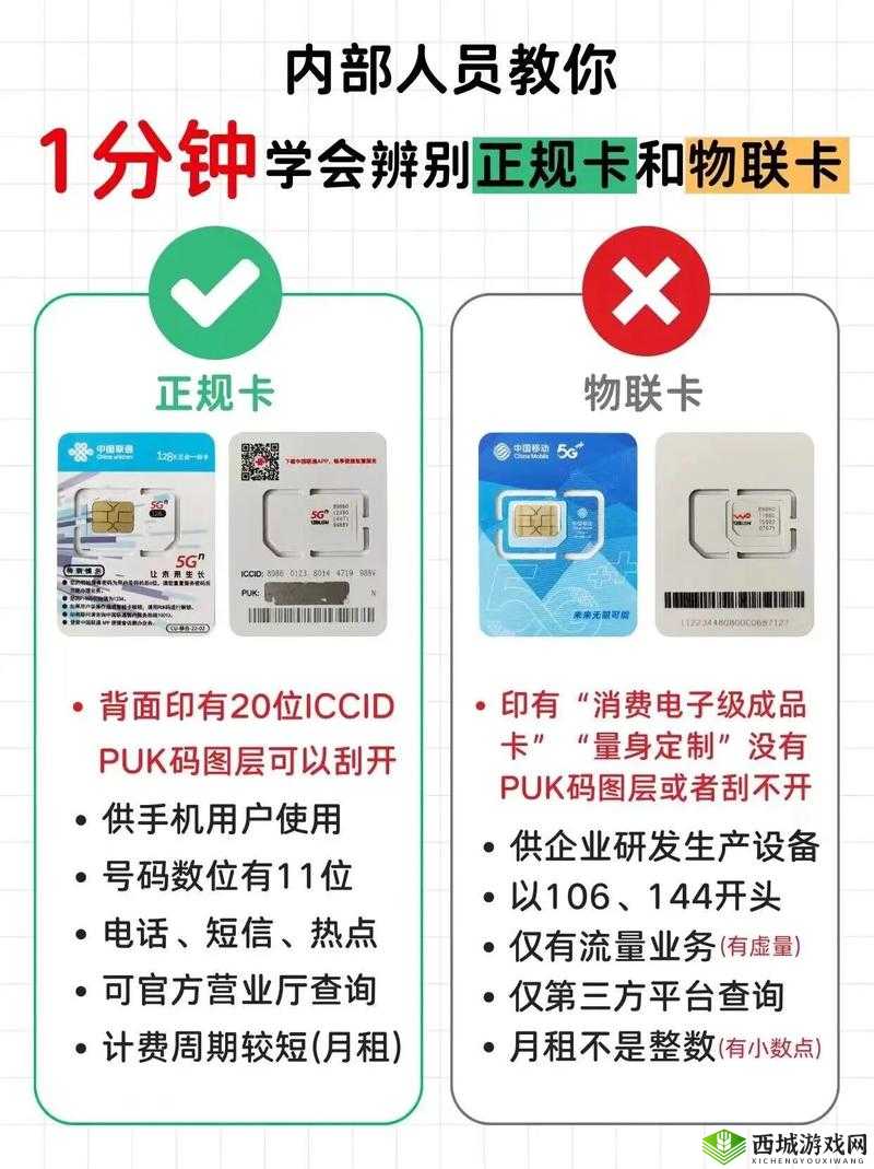 卡 1 和卡 2 有何区别?探究背后的奥秘