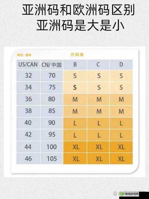 欧洲 M 码尺寸范围与亚洲 S 码尺寸范围之对比分析及差异探讨