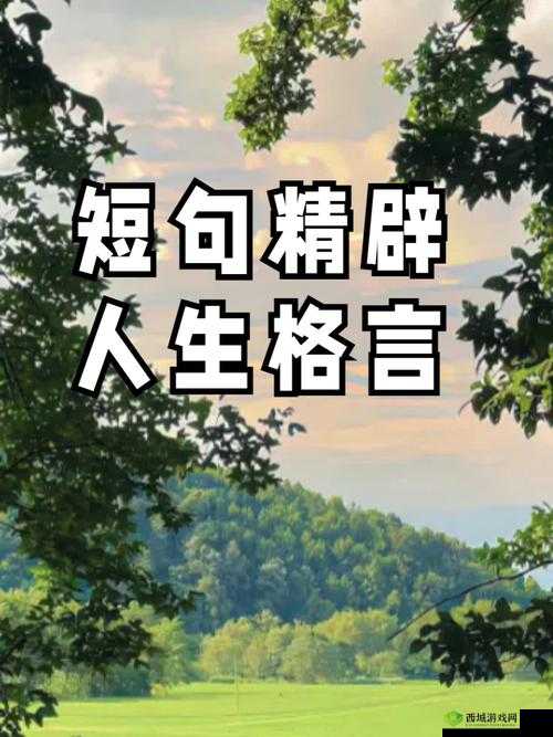 再试一次:林光曦的坚持与勇气,激励无数人前行