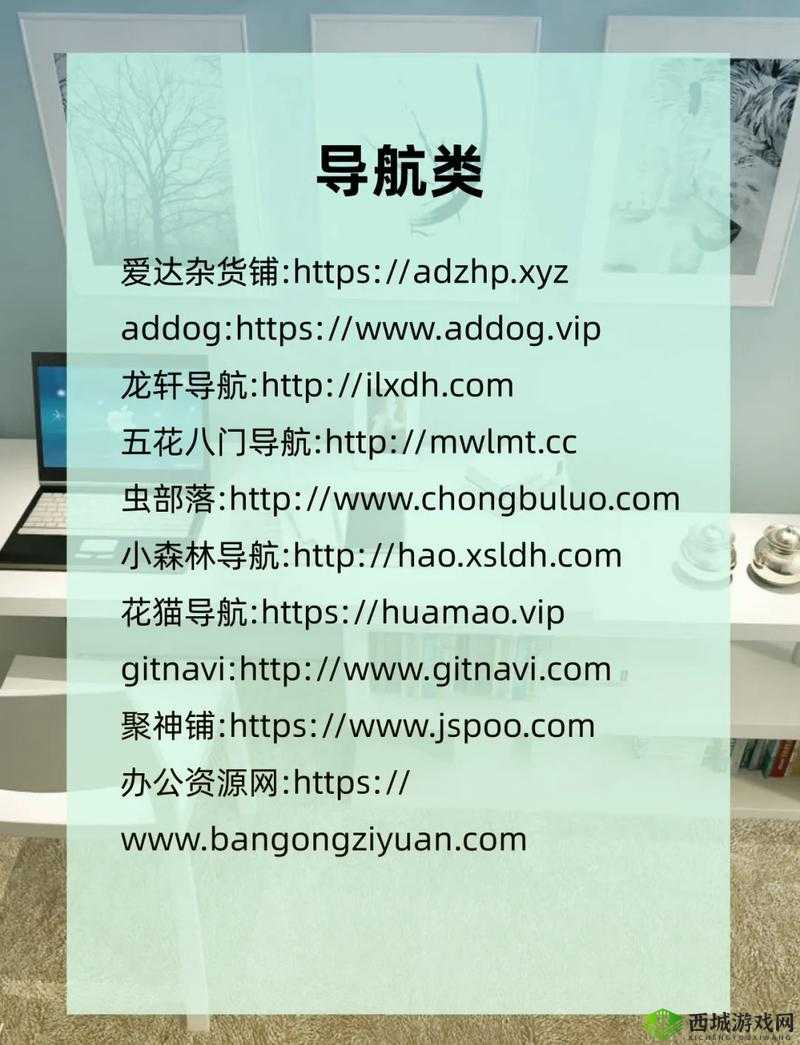 www.bbxx.com :一个充满惊喜与创新的神奇网站