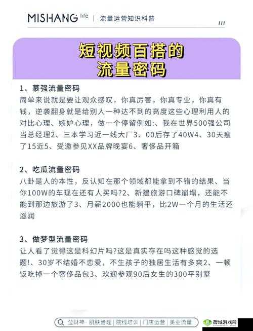 爆款视频的背后:揭秘流量密码