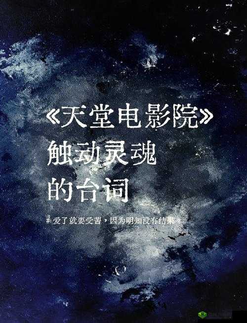 中文天堂在线观看：带你领略精彩的影视世界