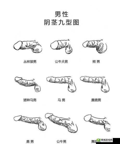 好爽好紧 H 男男吹潮：探索男性私密领域的激情体验