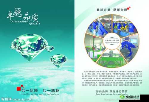 久久久国产精华特点:彰显独特魅力与卓越品质