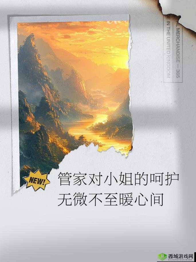 纯净呵护:带来全方位无微不至的贴心关怀