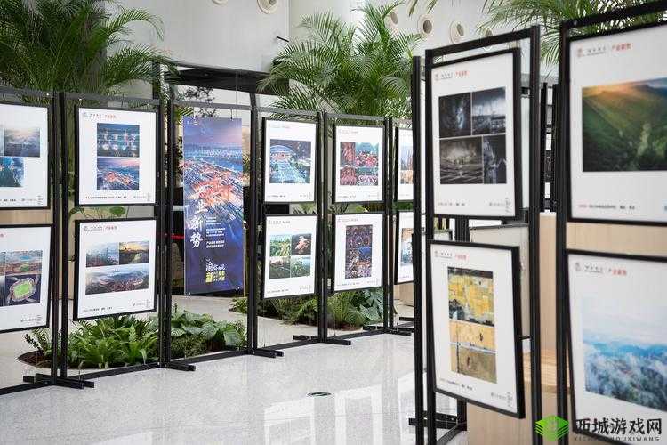 图片展示: