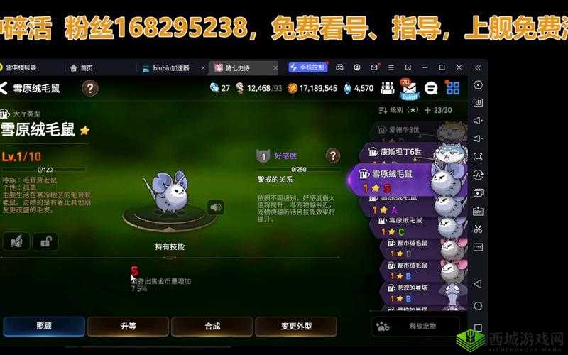 第七史诗宠物等级详解:多少级开启新功能与最佳培养策略
